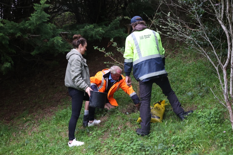 2 Tree Planting, Newlands College web