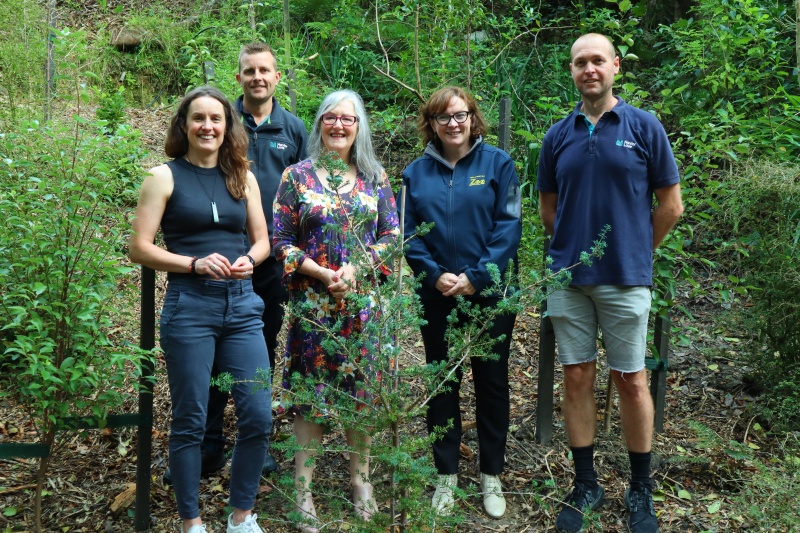 Tree planting, Wellington Zoo web 2